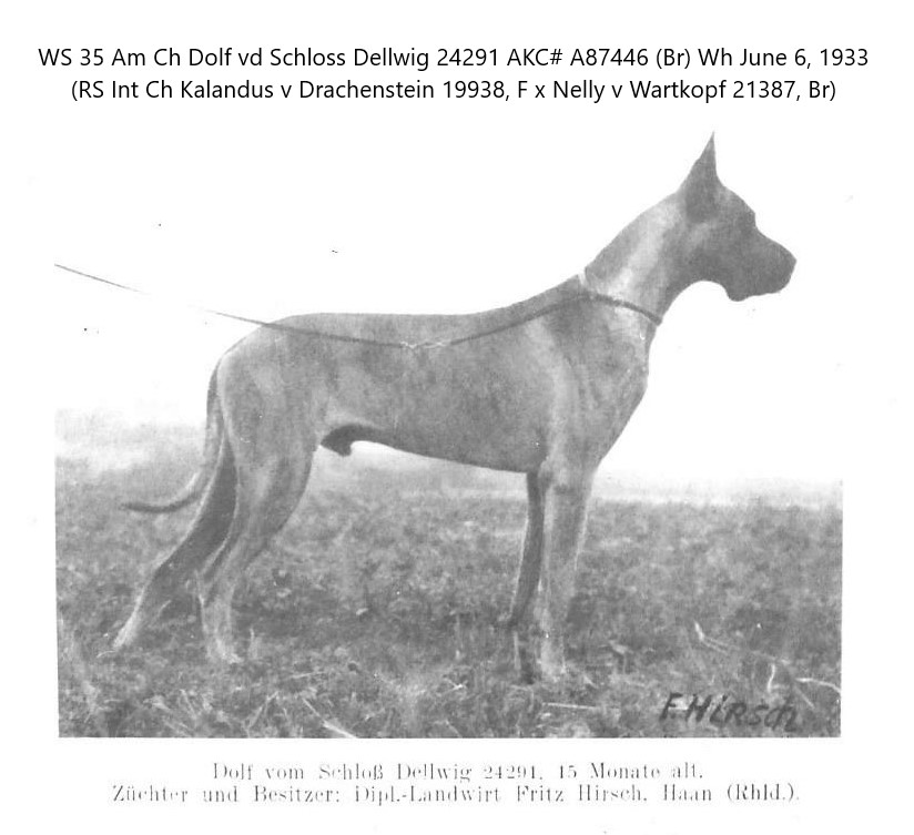 Dolf v Schloss Dellwig